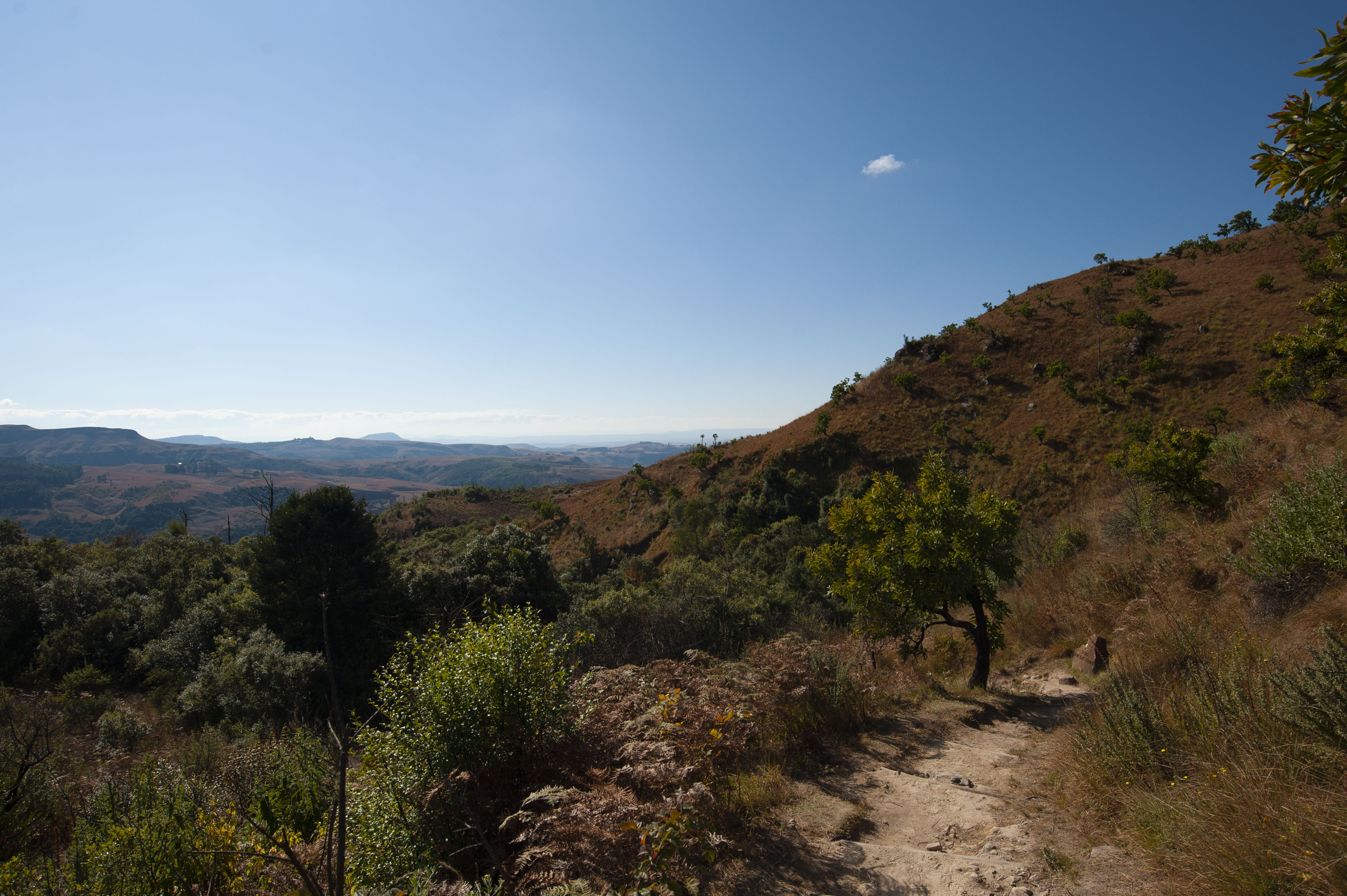 GYT 20220624 134329  DSC6041